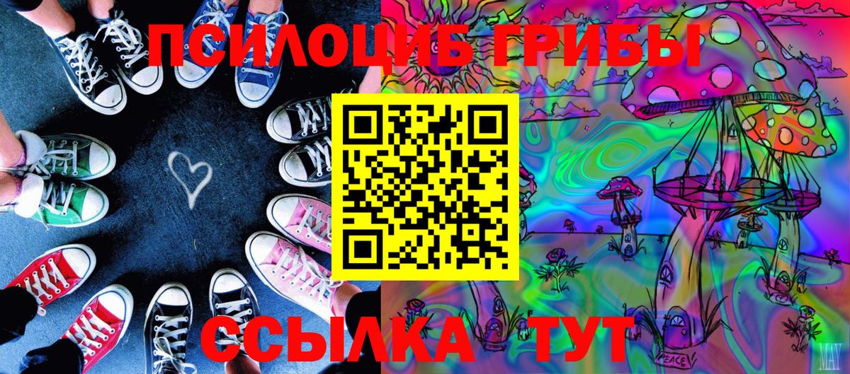 Лесозаводск  Псилоцибиновые грибы мухоморы  Псилоцибиновые грибы Cubensis  Вход с VPN 