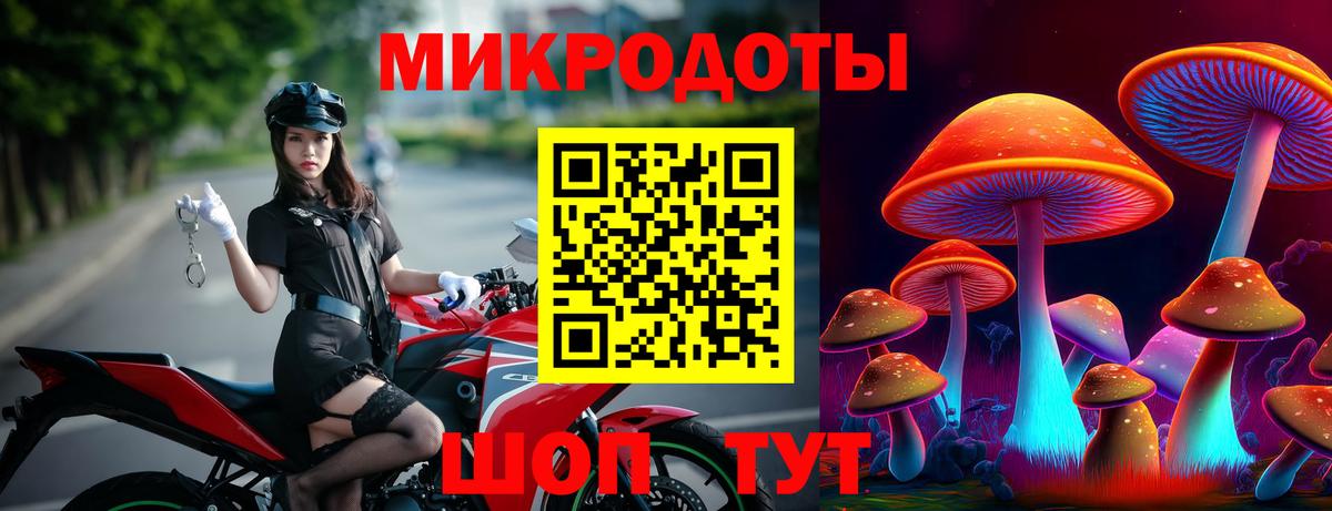 Псилоцибиновые грибы Psilocybine cubensis Лесозаводск
